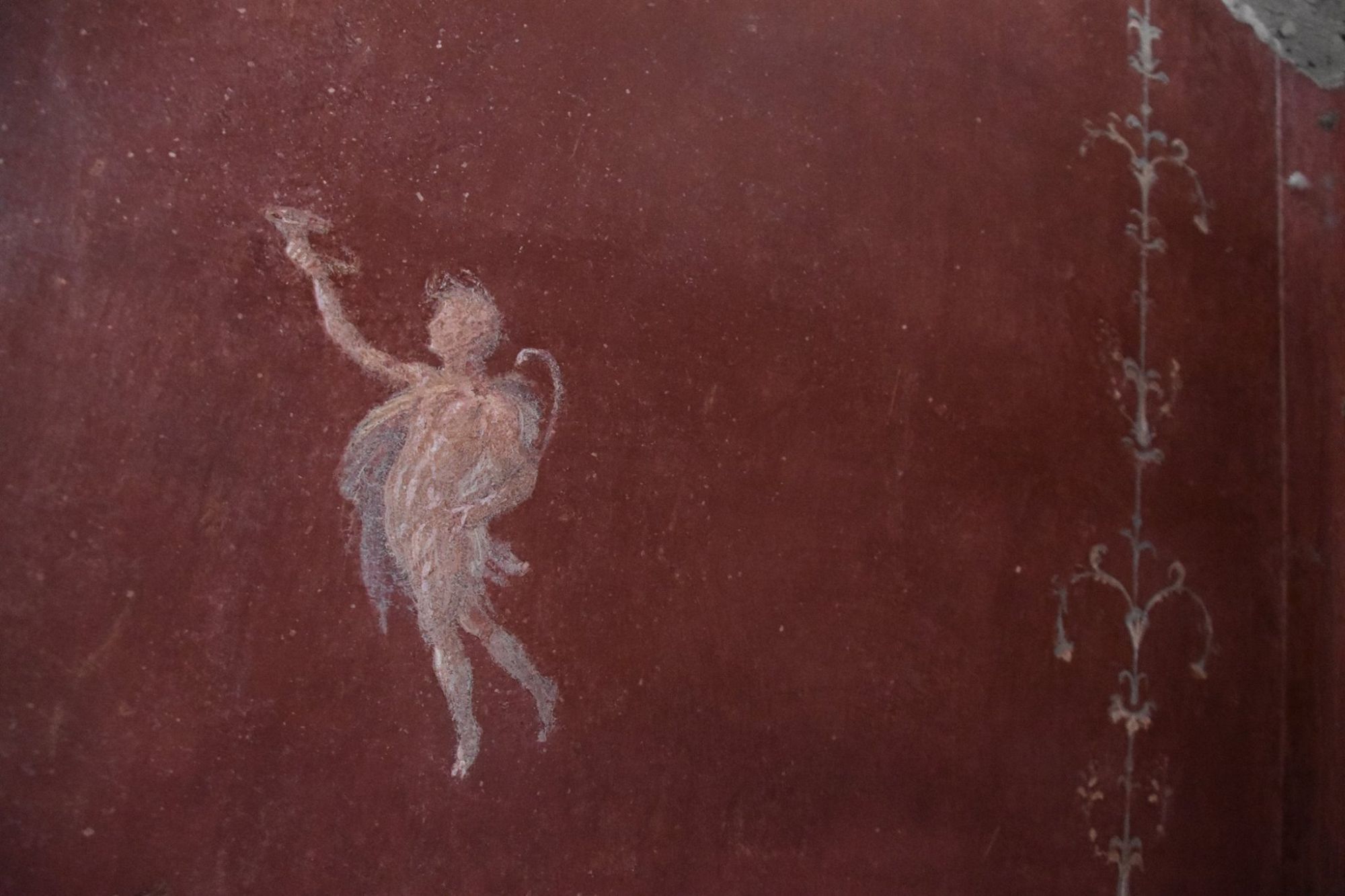 House of the red walls Pompeii Sites