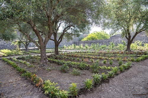 Casa-del-Giardino-di-Ercole-7-bassa