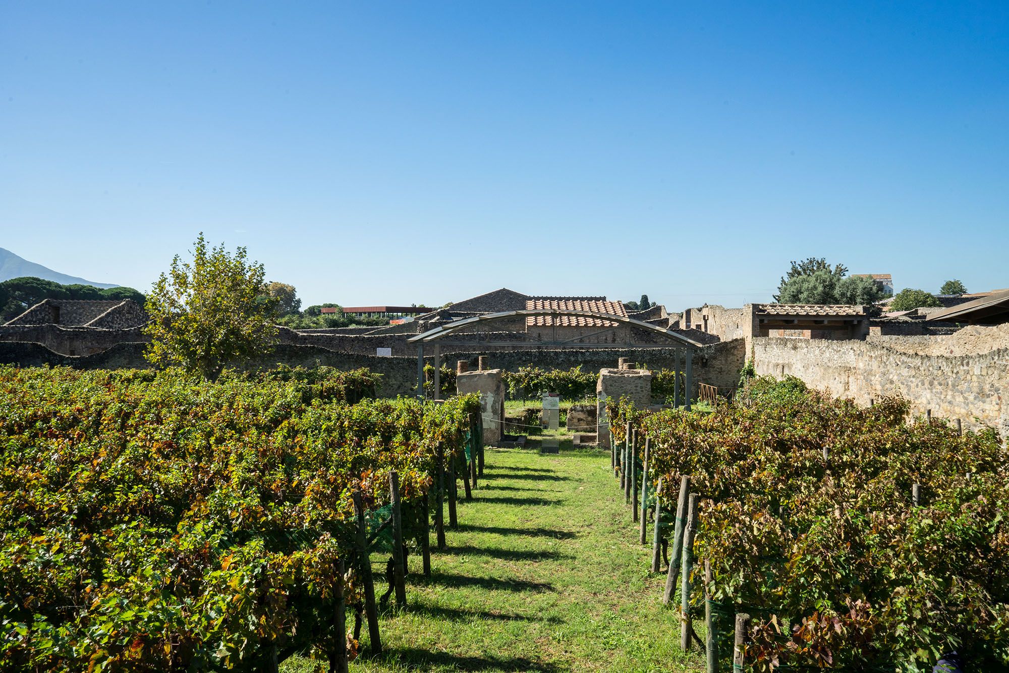 House of the Triclinium outdoors or summer - Pompeii Sites