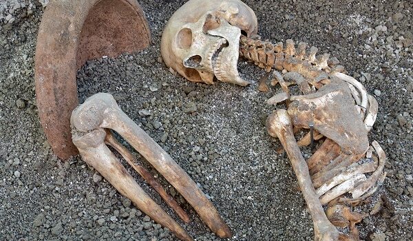 logo del Parco Archeologico di Pompei