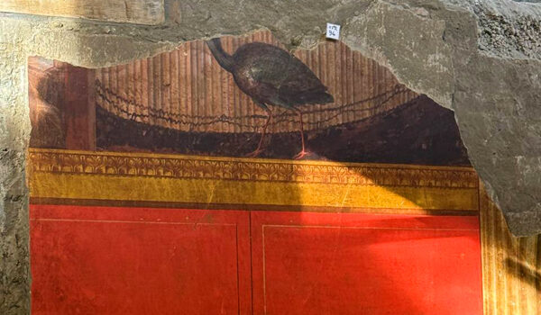 cantiere scavo Oplontis (7)