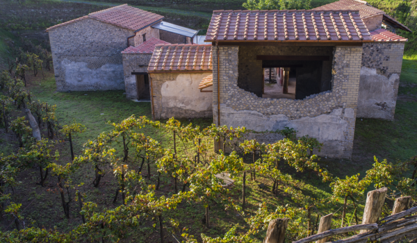 logo del Parco Archeologico di Pompei